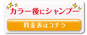 シャンプー込み