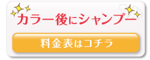 シャンプー込み