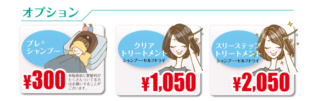 ヘアカラーオプションサービス
